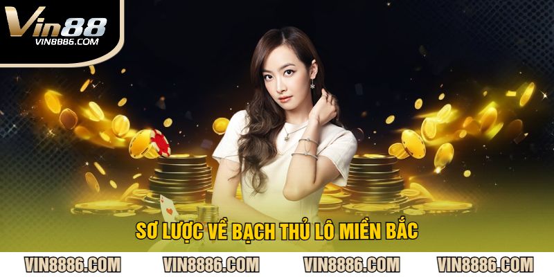 Sơ Lược Về Bạch Thủ Lô Miền Bắc