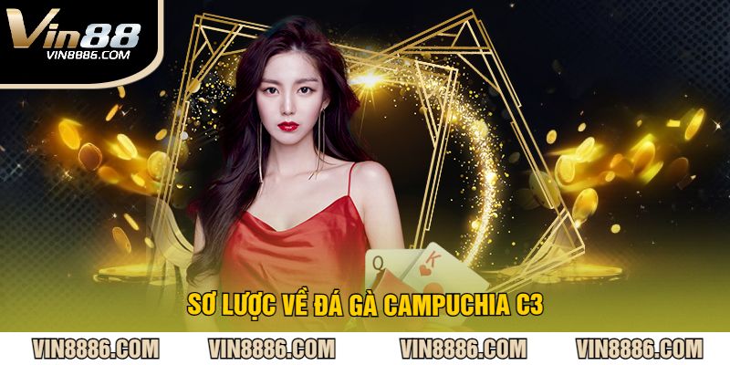 Sơ Lược Về Đá Gà Campuchia C3