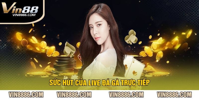 Sức Hút Của Live Đá Gà Trực Tiếp