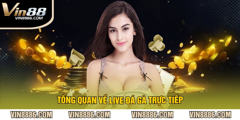 Tổng Quan Về Live Đá Gà Trực Tiếp