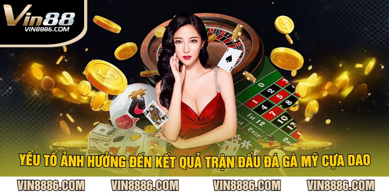 Yếu tố ảnh hưởng đến kết quả trận đấu đá gà mỹ cựa dao